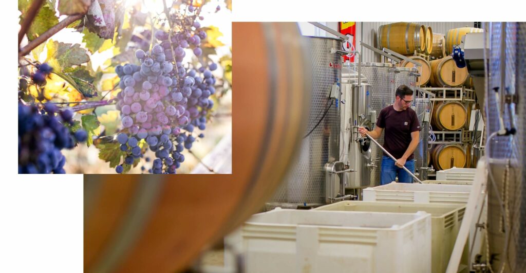 Armstrong Valley winemaker, Caleb, tending to the fermenting wine